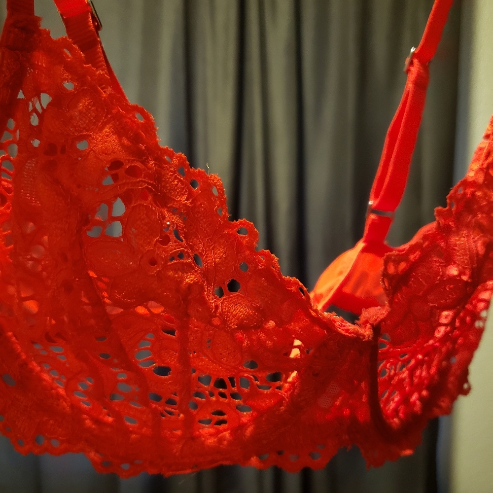 DKNY Red Lace Bra & Cheeky